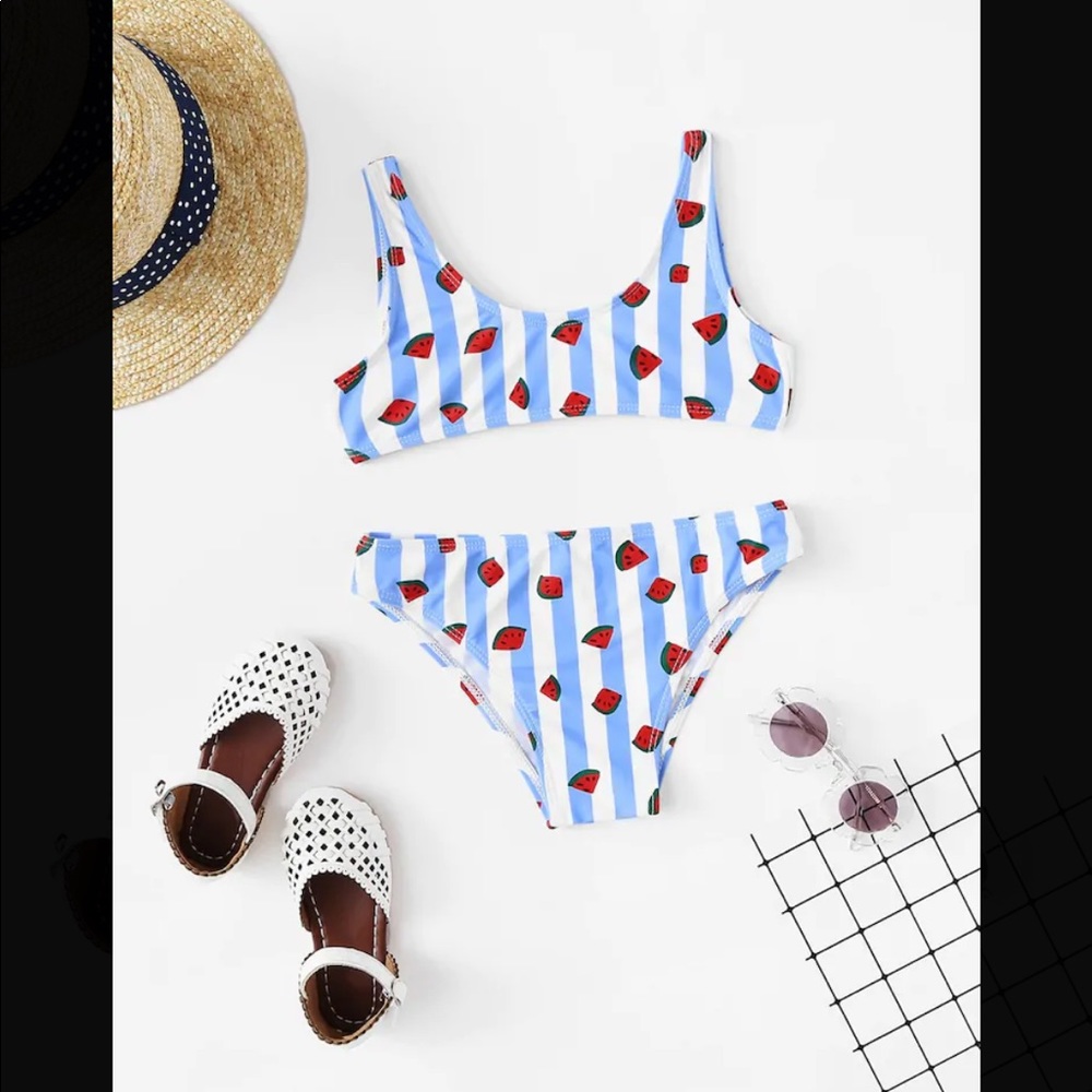Watermelon Print Striped Two Piece Bikini Set